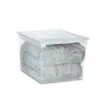 Terry Age Scatola Trasparente Per Armadio 37,6x52x31 Cm 1002677