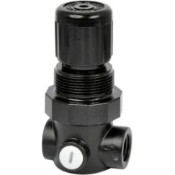 Norgren R91W-2GK-NEN Regolatore Di Pressione Per Liquidi 1/4 Acqua Pressione Max 10 Bar