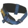 Cintura Di Protezione Anticaduta Completa - Salone