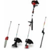 EBERTH 4in1 Decespugliatore A Benzina (con Sistema Di Avanzamento Automatico, Lama In Metallo 3 Denti,taglia Siepi, Sega Per Rami, Motore 3 HP ,raffreddato Ad Aria)
