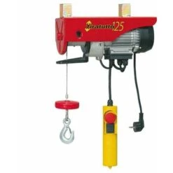 PARANCO ELETTRICO L'EUROPEA KG.125 TIRA TUTTO MONTACARICHI 450 WATT CARICO