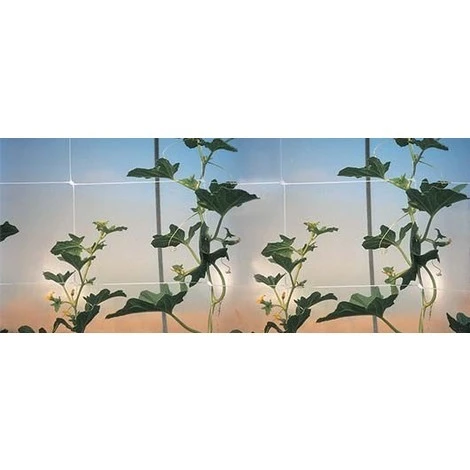 RETE HORTONOVA PER RAMPICANTI TENAX BIANCA METRI 1000 X ALTEZZA 170 CM SOSTEGNO ORTAGGI FIORI - immagine 2
