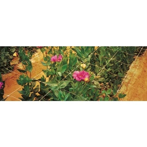 RETE HORTONOVA PER RAMPICANTI TENAX BIANCA METRI 1000 X ALTEZZA 170 CM SOSTEGNO ORTAGGI FIORI - immagine 3