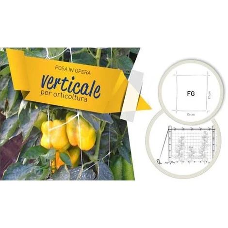 RETE HORTONOVA PER RAMPICANTI TENAX BIANCA METRI 1000 X ALTEZZA 170 CM SOSTEGNO ORTAGGI FIORI - immagine 5