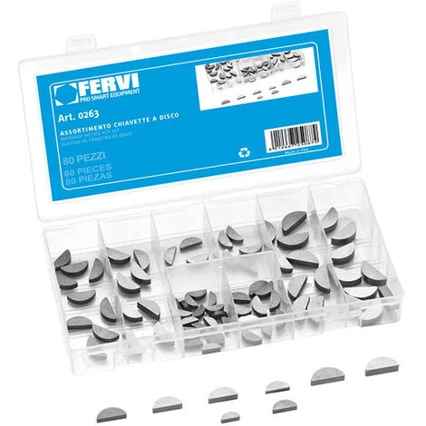 ASSORTIMENTO DI 80 CHIAVETTE A DISCO 0263 FERVI